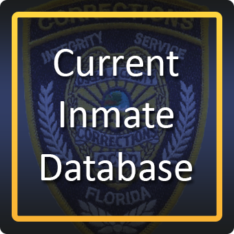 Informe actual de la base de datos de reclusos