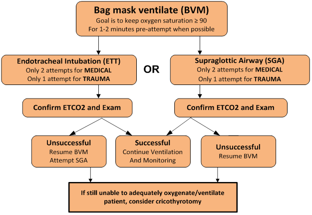 La bolsa de la mascarilla de ventilación (BVM)